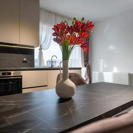 Apartment Nest-mountain View With Balcony And Free Parking Brasov